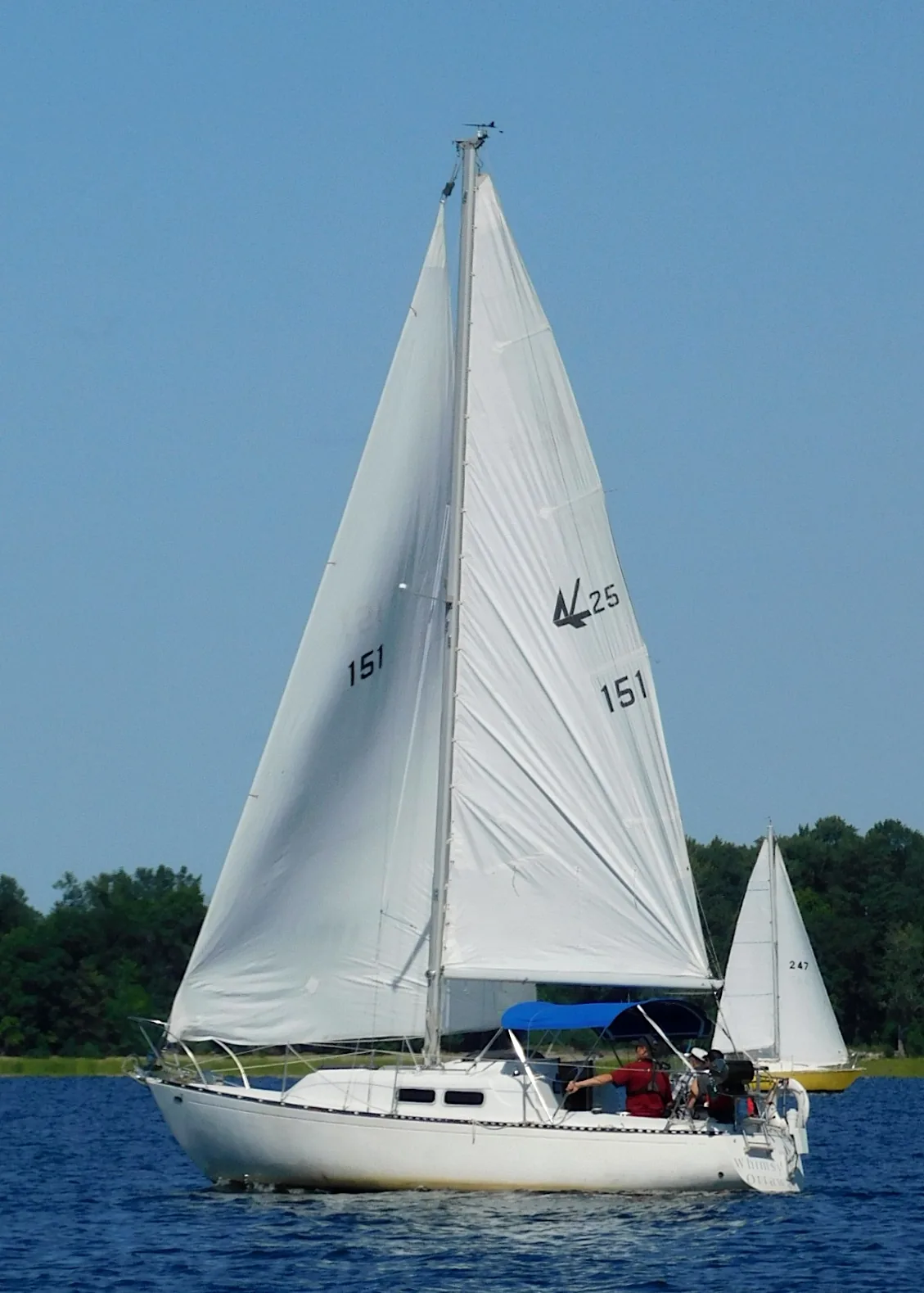 Photograph of an example of Northern 25
