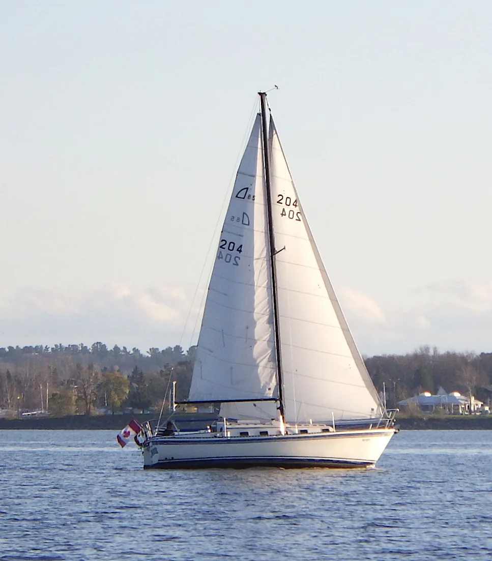 Photograph of an example of Ouyang Aloha 8.5