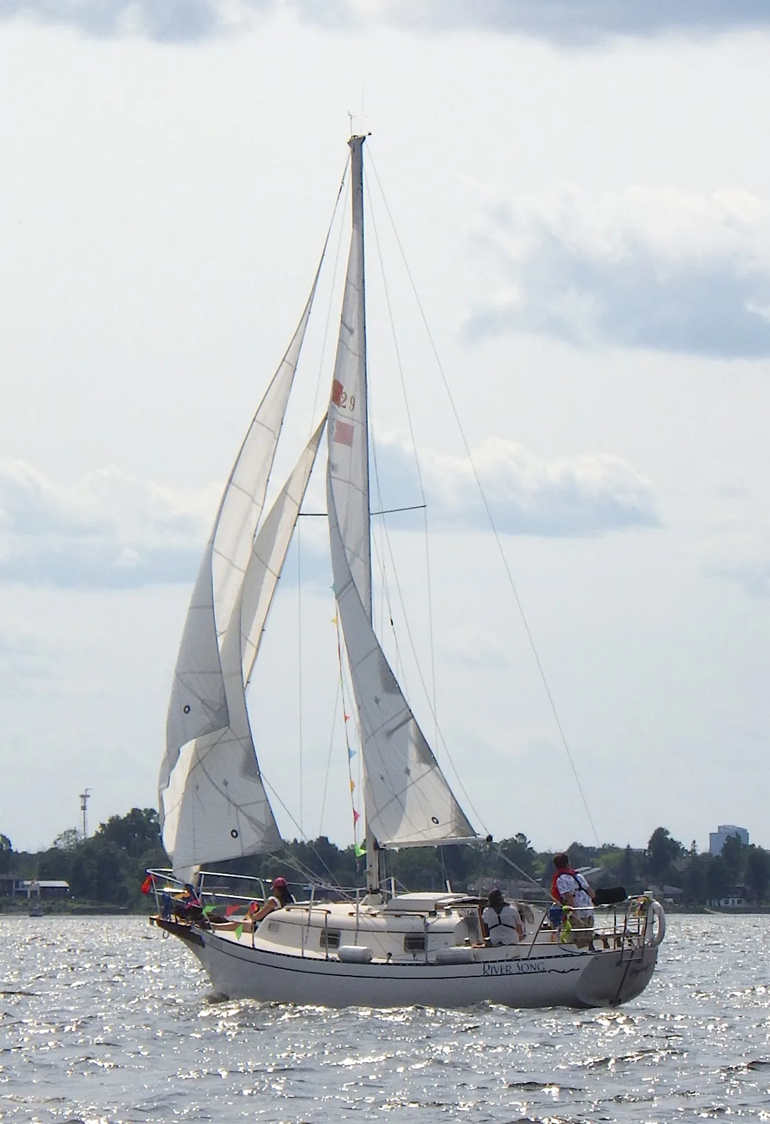 Photograph of an example of Bayfield 29