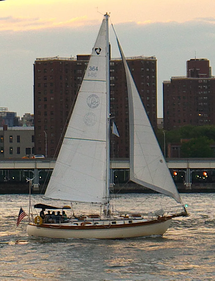 Photograph of an example of Tayana 37