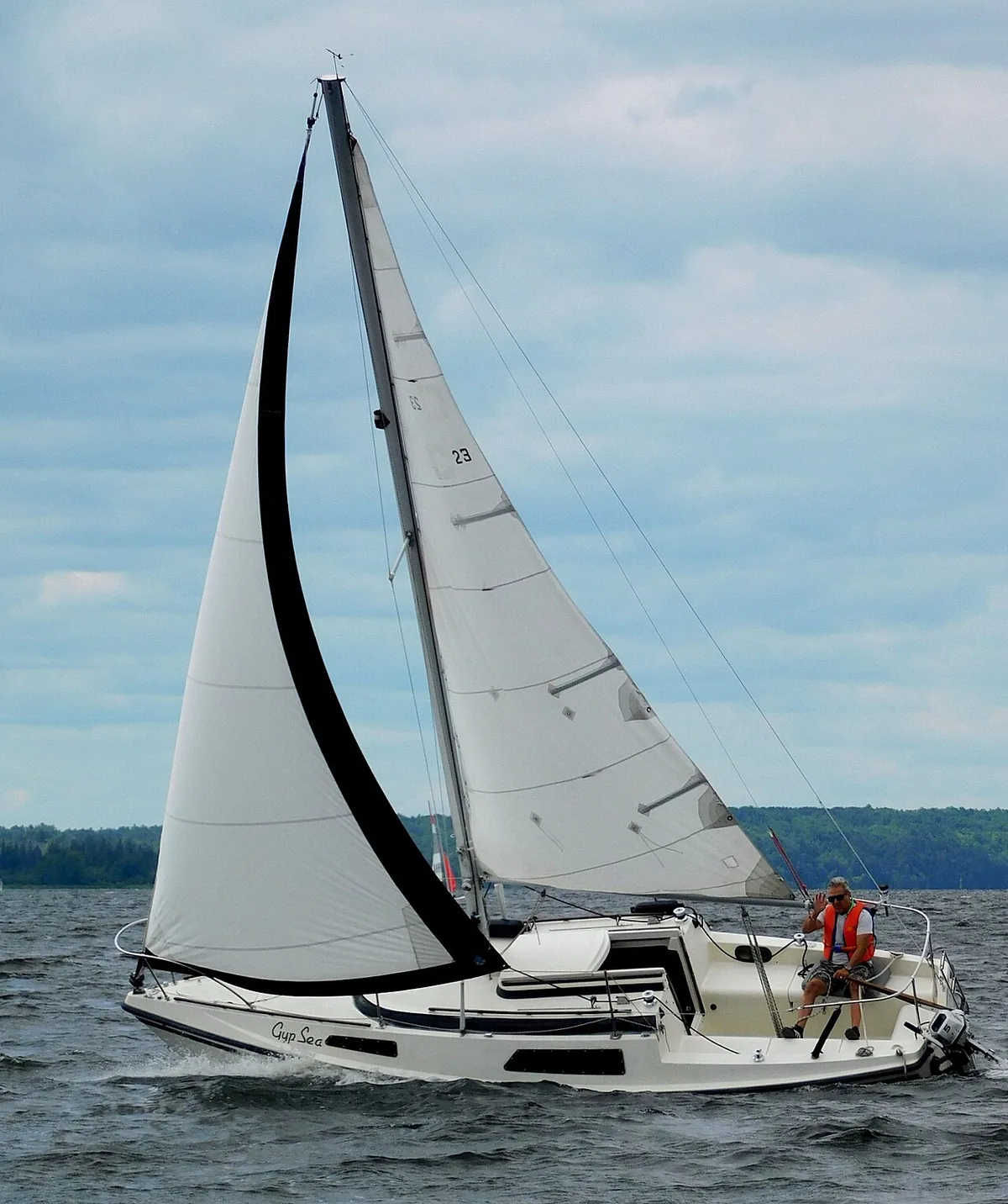Photograph of an example of Sonic 23