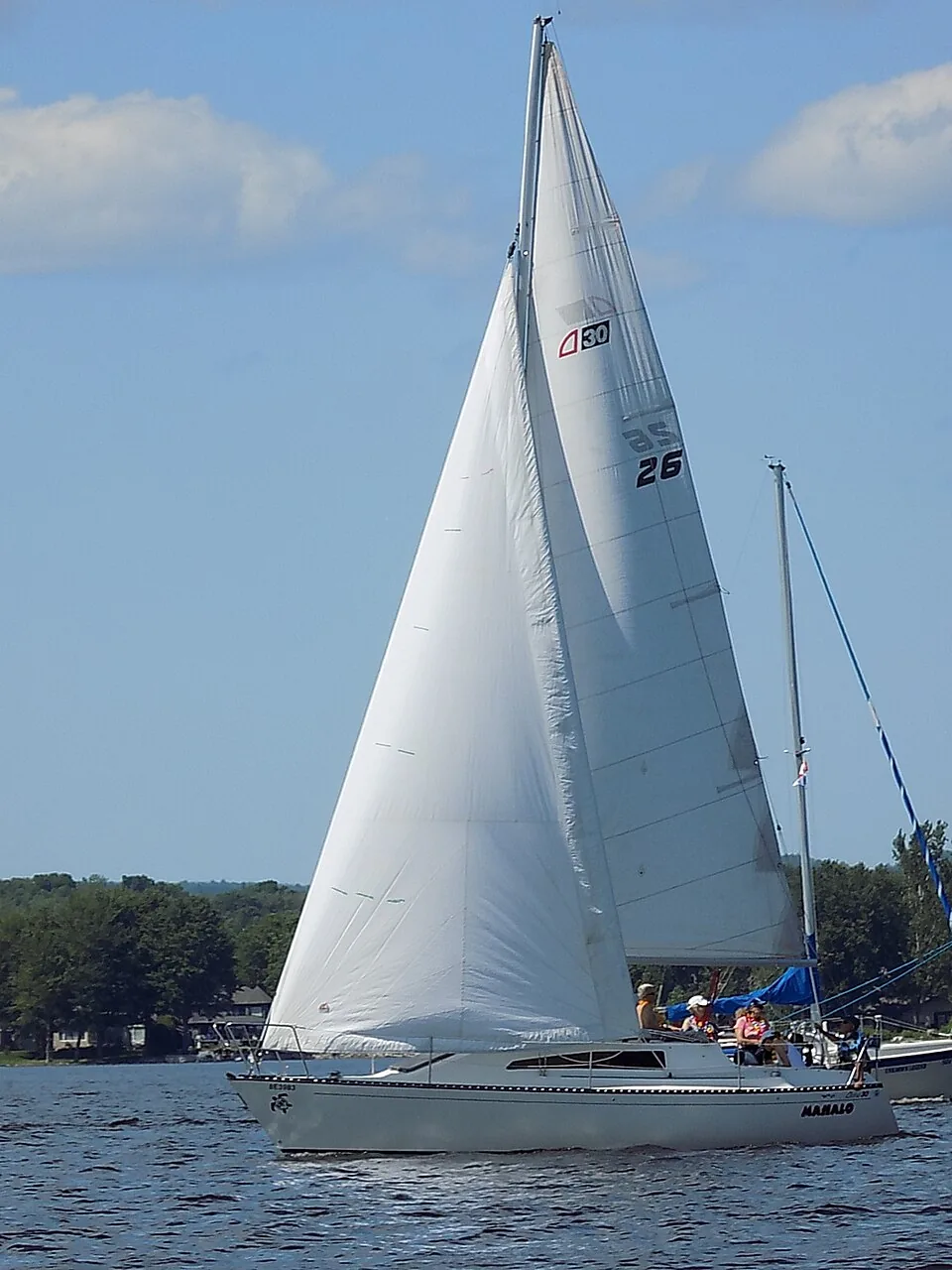 Photograph of an example of Ouyang Aloha 30