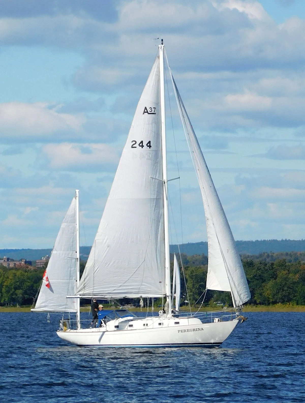 Photograph of an example of Whitby Alberg 37