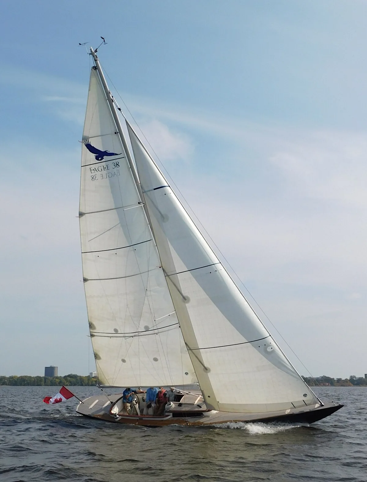Photograph of an example of Leonardo Eagle 38