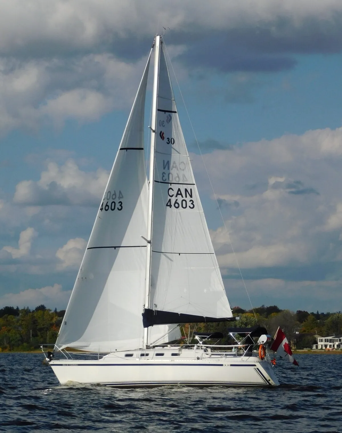 Photograph of an example of CS 30
