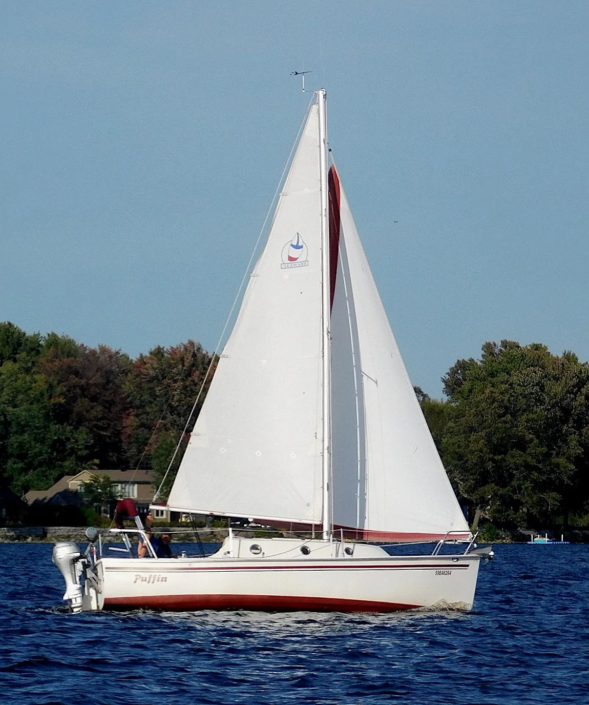 Photograph of an example of Hake Seaward 22