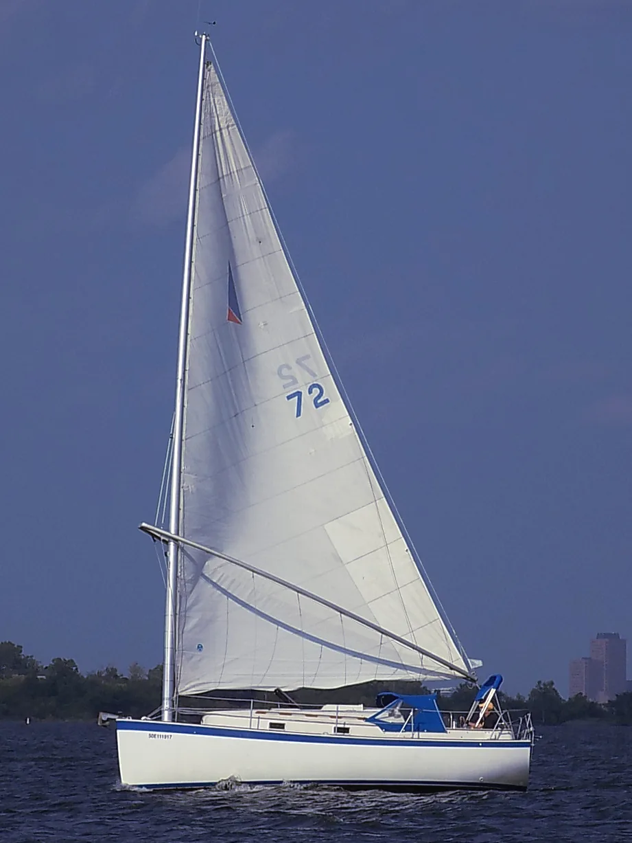 Fotografia de um exemplar de Hinterhoeller Nonsuch 26